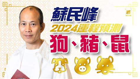 豬犯太歲2024